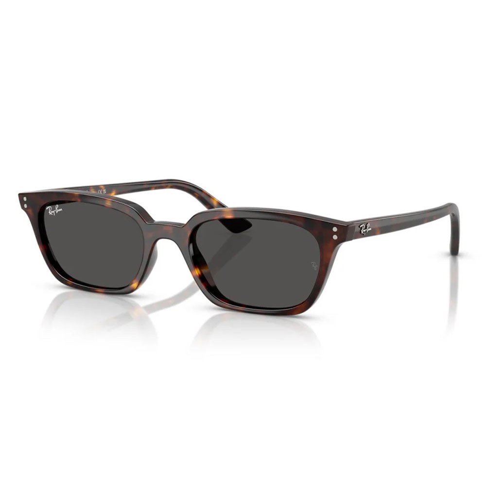 Ray ban rb4456 135987.jpg