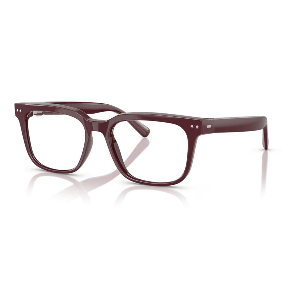 Nuance audio 0aw5001 bordeaux03.jpg