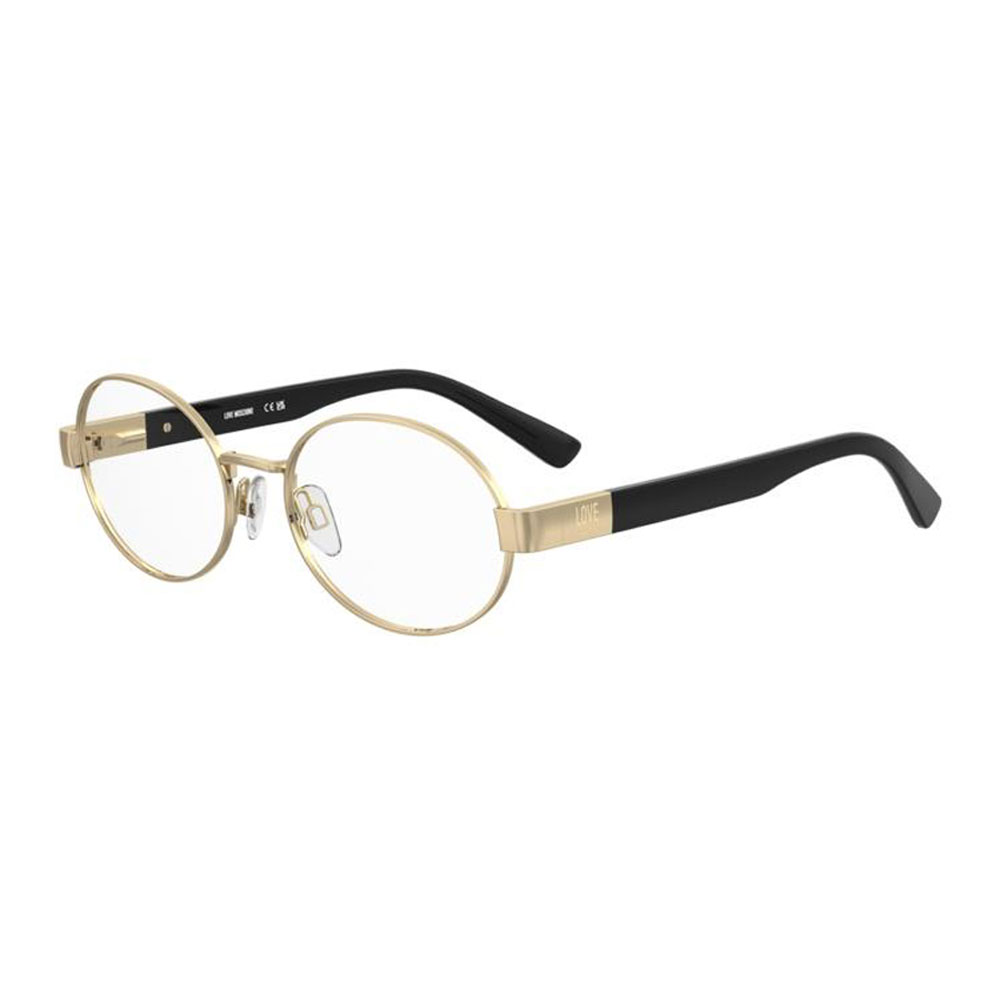 Mol676 000 donna.jpg